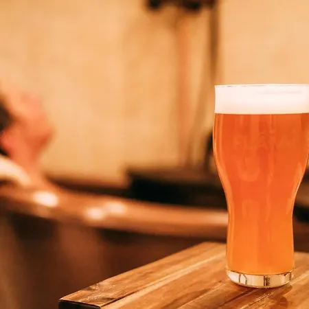 Flamm Rajecke Teplice